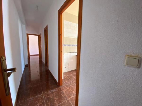 Ático en Av Vincle Del