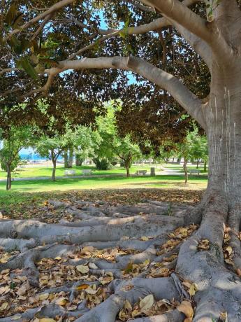 Piso en camino de Fondo, 3