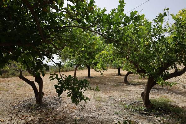 Casa independiente en calle Ibi