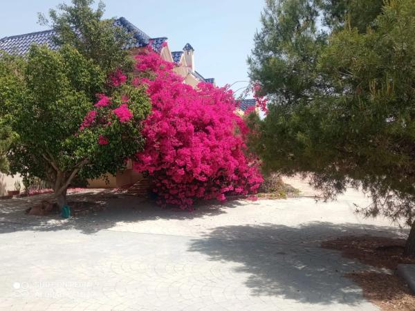 Casa independiente en Partida Baiona Alta, 337