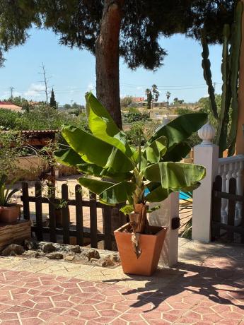 Casa independiente en Partida Tossal Redó, 33