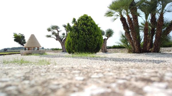 Casa independiente en Partida Berdica s/n