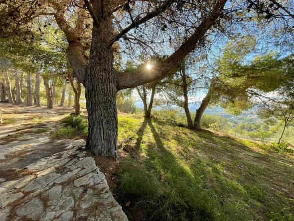 Finca rústica en Partida Paratella