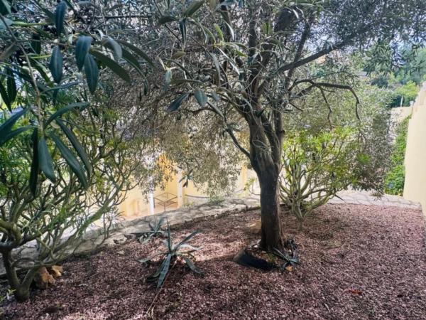 Casa independiente en calle Flor de Neu