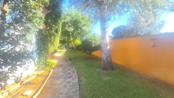 Chalet adosado en carretera de les Marines, 31