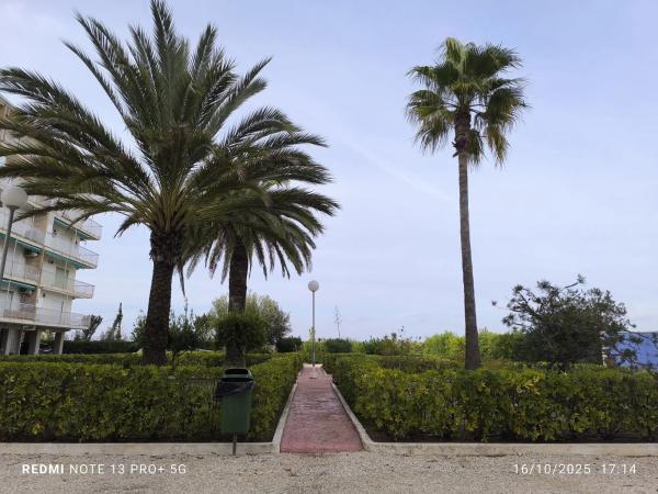 Piso en Barrio Les Bassetes-El Marjal