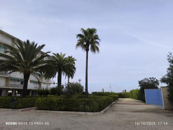 Piso en Barrio Les Bassetes-El Marjal