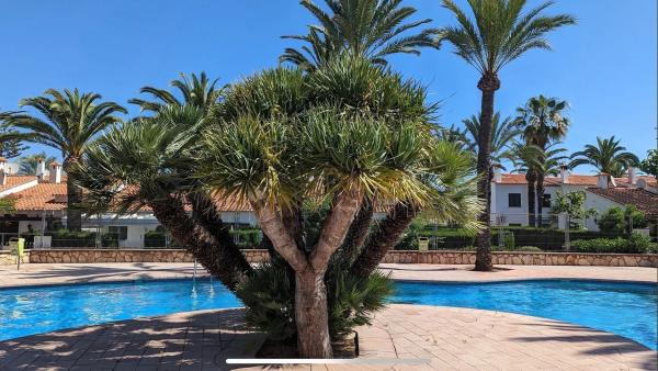 Piso en calle Òliba, 44