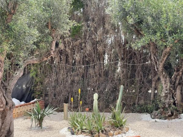 Casa independiente en calle Pal·las