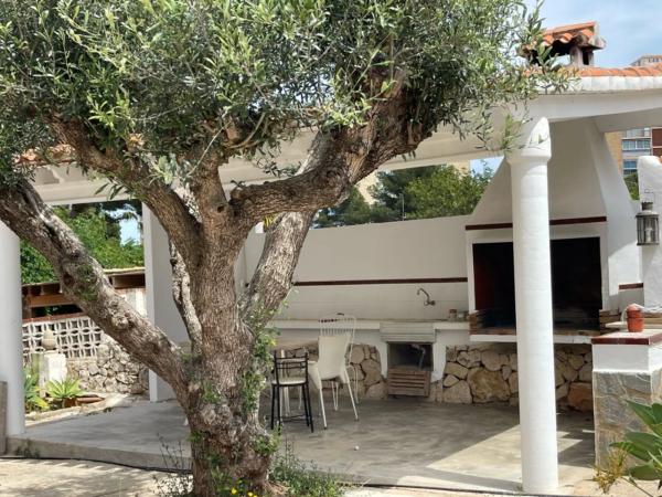 Casa independiente en calle Pal·las