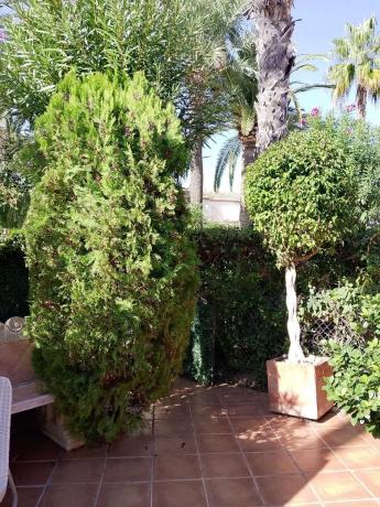 Chalet adosado en avenida Arenal, 12