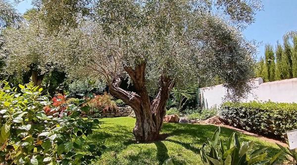 Casa independiente en calle del Vinalopó Mitjà