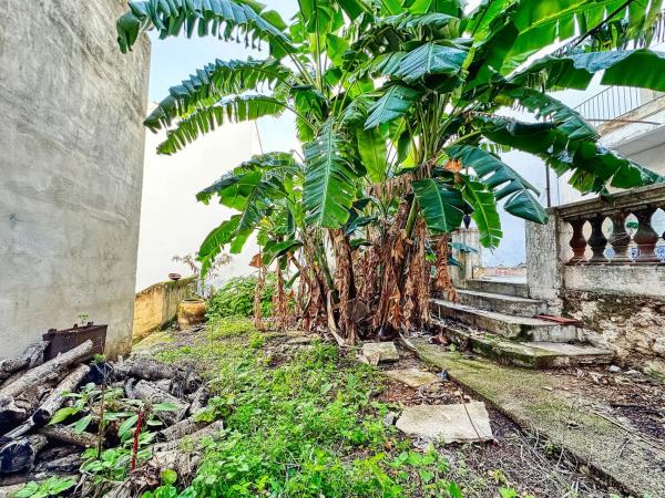 Chalet adosado en Av Alacant