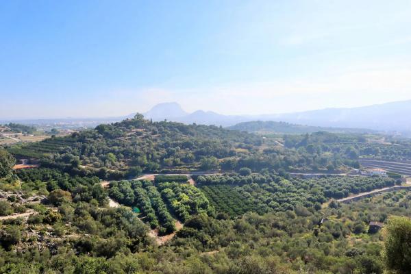 Casa independiente en Luna s/n