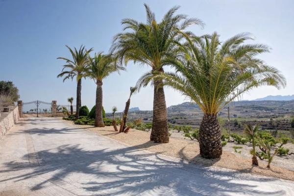 Finca rústica en camino del Rei