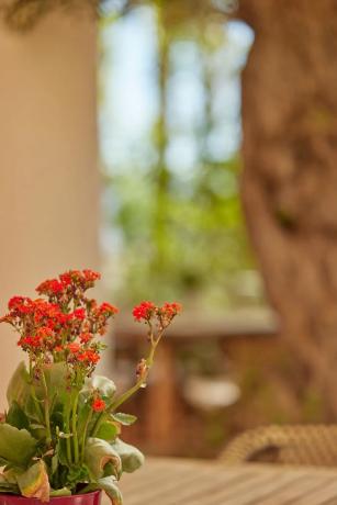 Piso en Alfaz del Pi Pueblo-Urbanizaciones