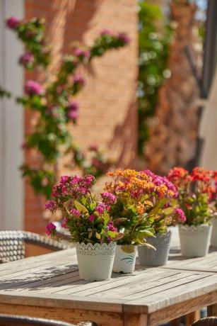 Piso en Alfaz del Pi Pueblo-Urbanizaciones