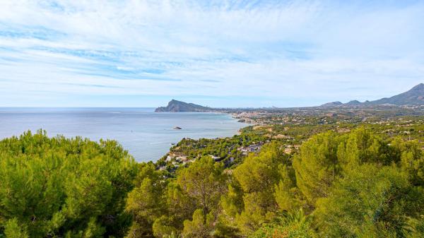 Piso en avenida Europa