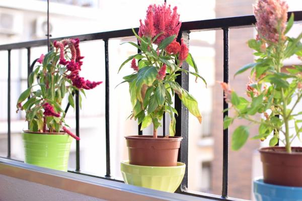 Piso en calle dels Pescadors, 2