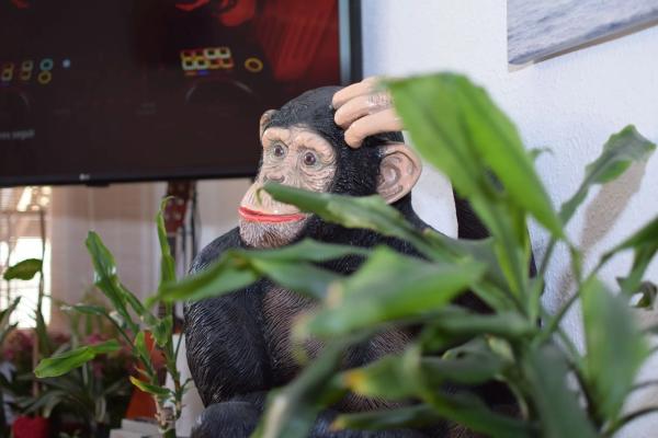 Piso en calle dels Pescadors, 2