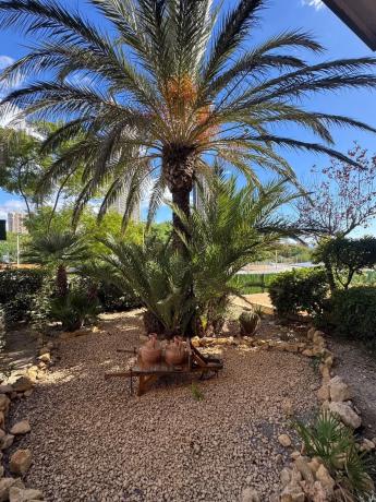 Piso en Playa de Poniente