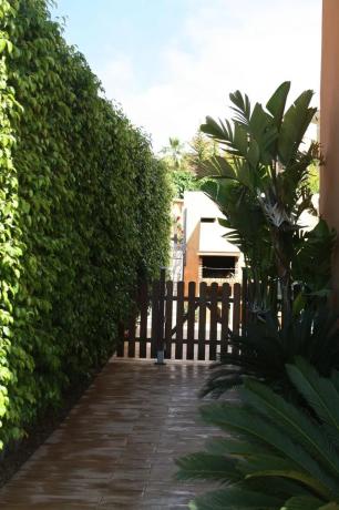 Chalet adosado en calle Córdoba