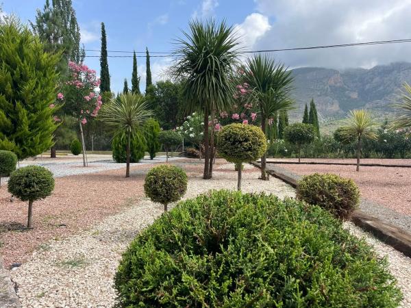 Finca rústica en Cv-755