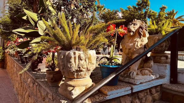 Casa independiente en calle Xile p