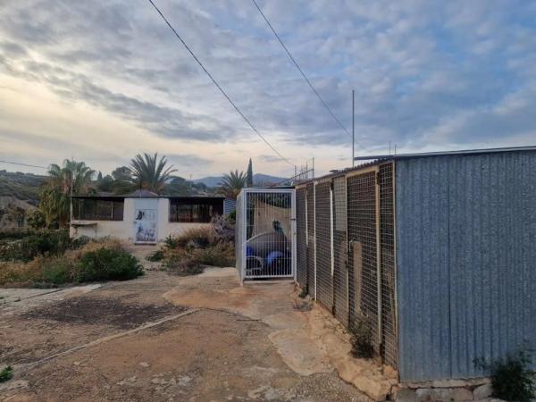 Finca rústica en Partida la Ermita, 23