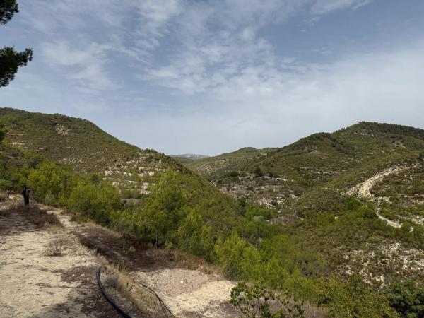 Finca rústica en Partida Teix km 13,2, 13 Km