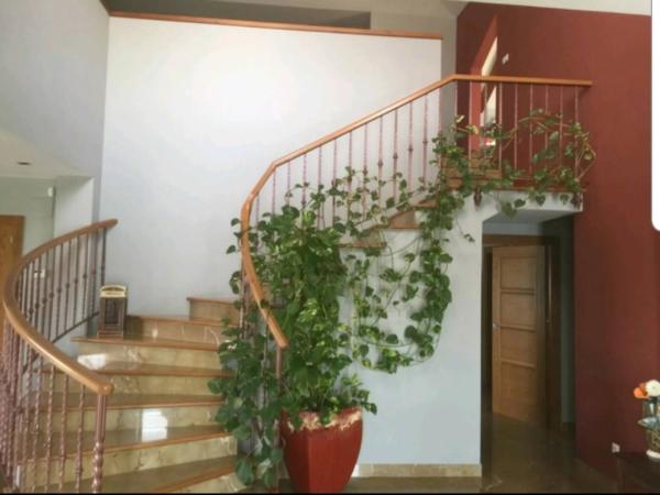 Casa independiente en calle La Mola