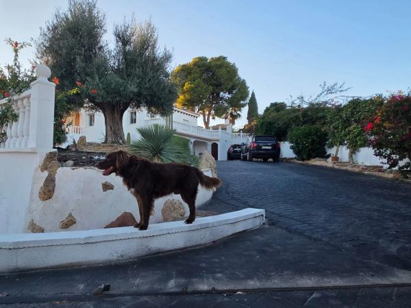 Casa independiente en plaza Poligono 16