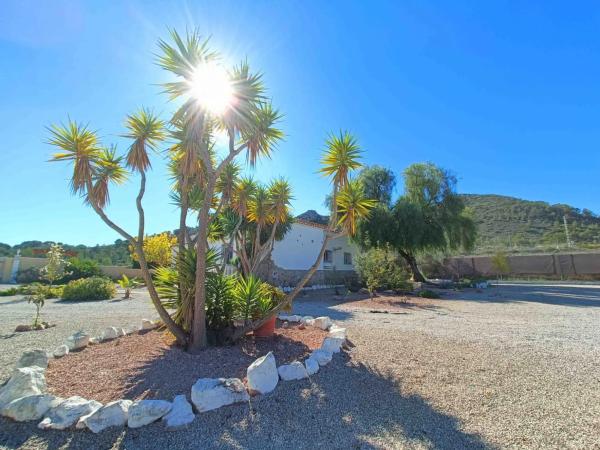 Casa independiente en alto Monte, 3