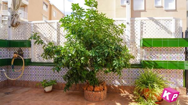 Casa independiente en calle Francisco Canto