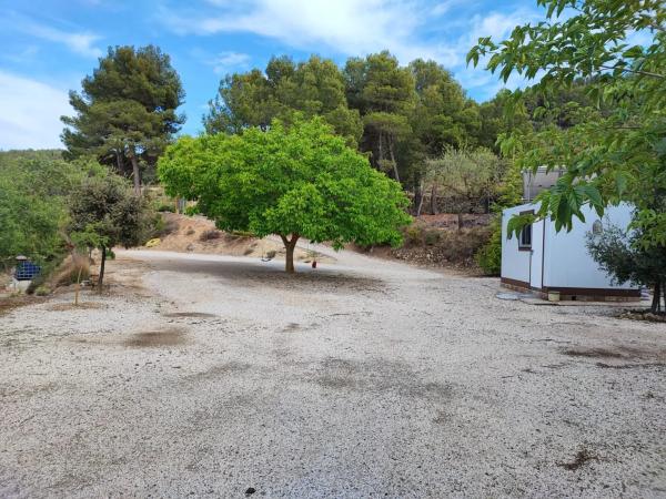 Casa terrera en Buitre, 32