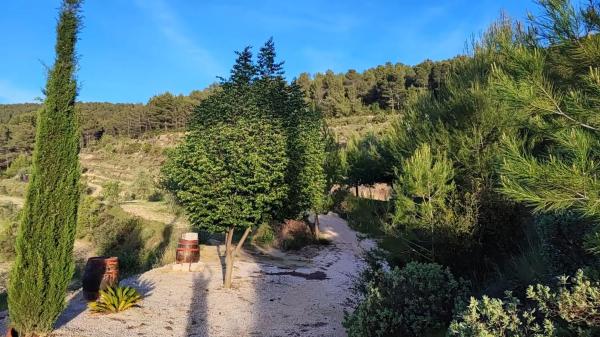 Casa terrera en Buitre, 32