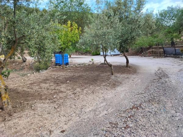 Casa terrera en Buitre, 32