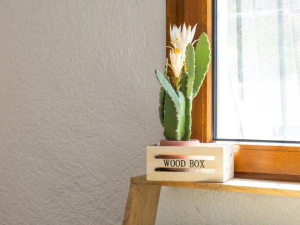 Casa independiente en carretera del Portitxol