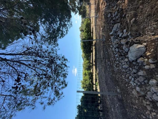 Finca rústica en camino dels Plans, 1