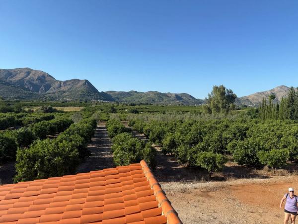 Finca rústica en camino dels Plans, 1