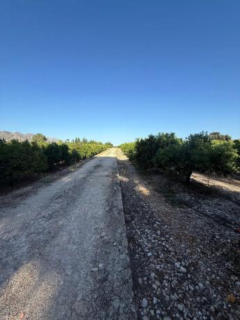 Finca rústica en camino dels Plans, 1