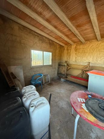 Finca rústica en camino dels Plans, 1