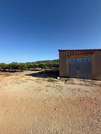 Finca rústica en camino dels Plans, 1