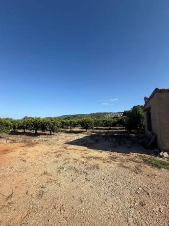 Finca rústica en camino dels Plans, 1