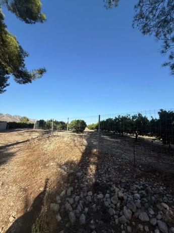 Finca rústica en camino dels Plans, 1