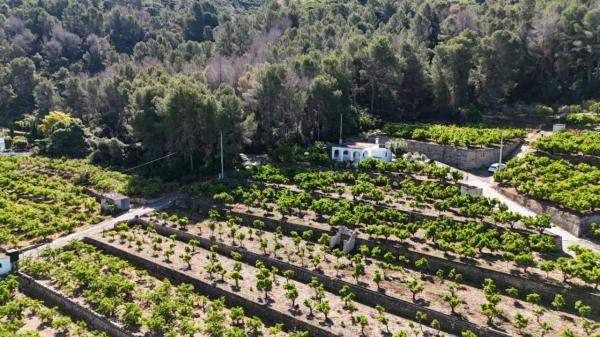 Finca rústica en avenida de Pego