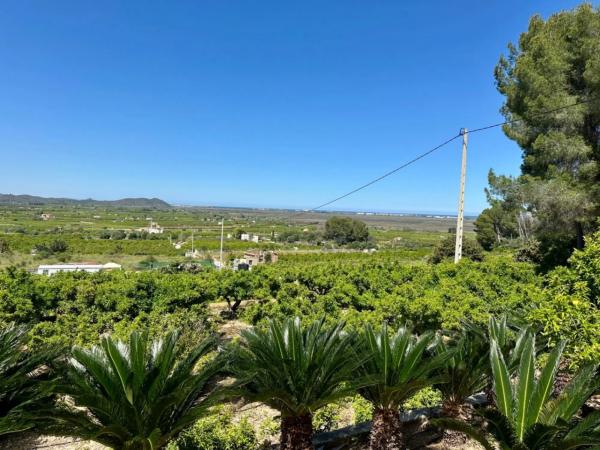 Finca rústica en avenida de Pego