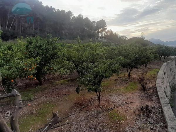 Casa rural en avenida Pego, 5