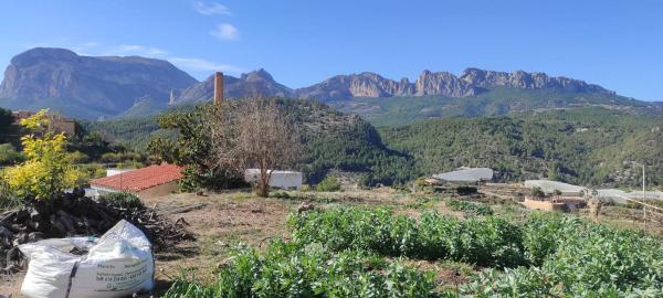 Casa independiente en Partida la Creu, 3