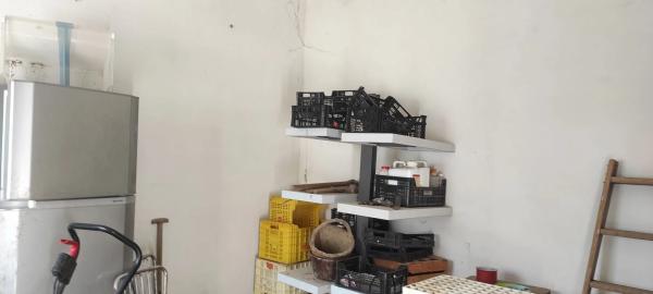 Casa independiente en Partida la Creu, 3